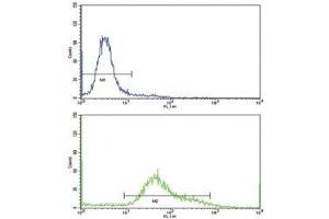 Flow Cytometry (FACS) image for anti-Transferrin Receptor (p90, CD71) (TFRC) (AA 649-677) antibody (ABIN3029214)