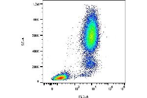 Flow cytometry analysis (surface staining) of human peripheral blood leukocytes with anti-CD13 (WM15) PE-DyLight 594.