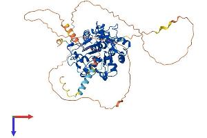 ST6GALNAC1 Protein (AA 1-600) (His tag)