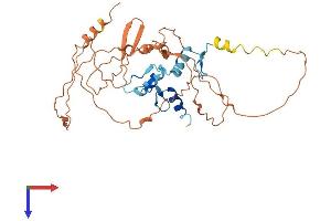 KLF8 Protein (AA 1-359) (His tag)