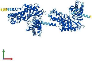 Protein Structure (PS) image for Hexokinase Domain Containing 1 (HKDC1) (AA 1-917) protein (His tag) (ABIN7548317)