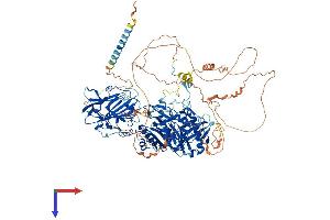 beta-1,4-N-Acetyl-Galactosaminyl Transferase 4 (B4GALNT4) (AA 1-1039) protein (His tag)
