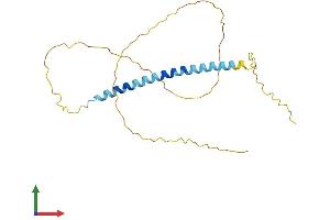 Protein Structure (PS) image for Transcription Elongation Factor A (SII)-Like 4 (TCEAL4) (AA 1-215) protein (His tag) (ABIN7544173)