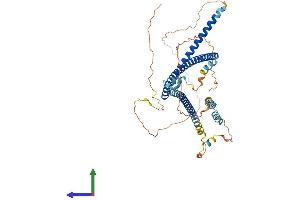 Protein Structure (PS) image for Coiled-Coil Domain Containing 125 (CCDC125) (AA 1-511) protein (His tag) (ABIN7553191)