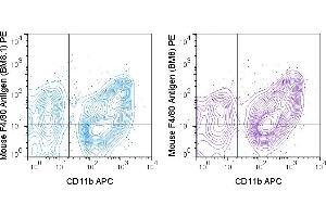 C57Bl/6 bone marrow cells were stained with APC Anti-Mouse CD11b (M1/70) and 0. (F4/80 Antikörper  (PE))