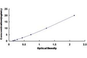 Typical standard curve (TPM3 ELISA Kit)