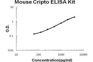 Mouse Cripto/TDGF1 PicoKine ELISA Kit standard curve