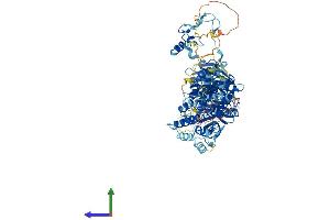 AlphaFold protein structure predicition of Human Recombinant MIOS Protein, UniprotID Q9NXC5