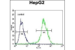 NR0B2 Antibody (Center) (ABIN655027 and ABIN2844658) flow cytometric analysis of HepG2 cells (right histogram) compared to a negative control cell (left histogram).