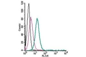 Cell surface detection of GPR68 in live intact human HL-60 acute promyelocytic leukemia cells: (black line) Cells. (GPR68 Antikörper  (Extracellular) (FITC))