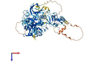 PKC theta Protein (AA 1-707) (His tag)