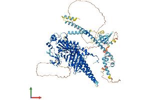 AlphaFold protein structure predicition of Mouse Recombinant Morc2b Protein, UniprotID Q8C5W4