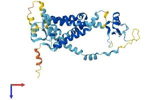 PEX12 Protein (AA 1-359) (His tag)