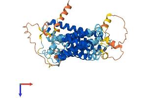 SERINC3 Protein (AA 1-472) (His tag)