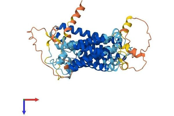 SERINC3 Protein (AA 1-472) (His tag)