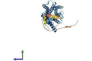 Protein Structure (PS) image for Tachykinin Receptor 1 (TACR1) (AA 1-407) protein (His tag) (ABIN7549859)