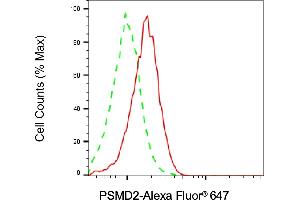 anti-Proteasome (Prosome, Macropain) 26S Subunit, Non-ATPase, 2 (PSMD2) antibody