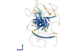 Protein Structure (PS) image for TBC1 (Tre-2/USP6, BUB2, Cdc16) Domain Family, Member 1 (TBC1D1) (AA 1-1255) protein (His tag) (ABIN7563888)