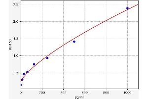 Low Density Lipoprotein Receptor-Related Protein 2 (LRP2) ELISA Kit