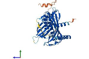 Protein Structure (PS) image for Acyl-CoA Thioesterase 7 (ACOT7) (AA 1-380) protein (His tag) (ABIN7552509)
