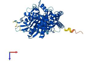 TUBA8 Protein (AA 1-449) (His tag)