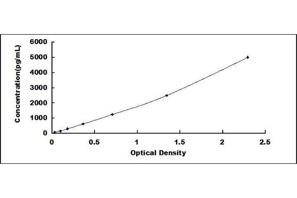 MYL3/CMLC1 ELISA Kit