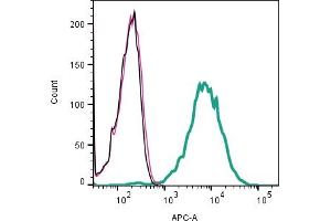 Cell surface detection of NaVβ4 by indirect flow cytometry in live intact human Jurkat T-cell leukemia cell line: + goat-anti-rabbit-APC.