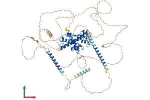 Protein Structure (PS) image for Prospero Homeobox 1 (PROX1) (AA 1-737) protein (His tag) (ABIN7563316)