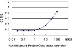Detection limit for recombinant GST tagged NHLH2 is approximately 1ng/ml as a capture antibody. (NHLH2 Antikörper  (AA 36-135))