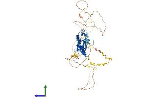 Protein Structure (PS) image for Lymphocyte Cytosolic Protein 2 (SH2 Domain Containing Leukocyte Protein of 76kDa) (LCP2) (AA 1-533) protein (His tag) (ABIN7548951)