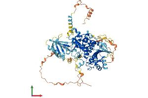 Protein Structure (PS) image for Myotubularin Related Protein 11 (MTMR11) (AA 1-709) protein (His tag) (ABIN7549534)