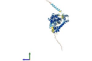Protein Structure (PS) image for Solute Carrier Family 1 (Glial High Affinity Glutamate Transporter), Member 3 (SLC1A3) (AA 1-542) protein (His tag) (ABIN7547219)