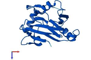 ADI1 Protein (AA 1-179) (His tag)