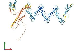 AlphaFold protein structure predicition of Human Recombinant ZNF430 Protein, UniprotID Q9H8G1