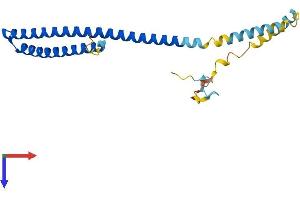 CHMP5 Protein (AA 1-219) (His tag)