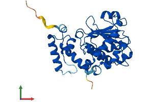 Protein Structure (PS) image for Tocopherol (Alpha) Transfer Protein (TTPA) (AA 1-278) protein (His tag) (ABIN7558967)