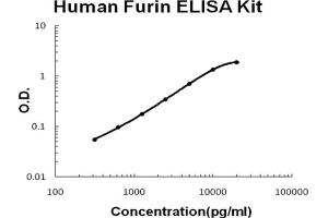 Human Furin Accusignal ELISA Kit Human Furin AccuSignal ELISA Kit standard curve. (FURIN ELISA Kit)
