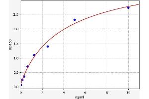 PEX2 ELISA Kit