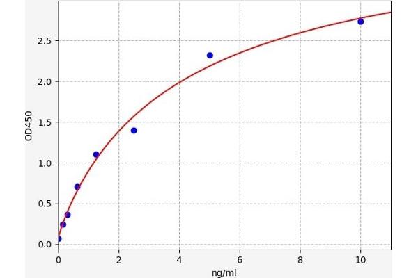 PEX2 ELISA Kit