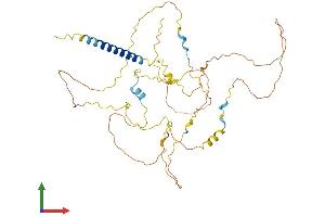 Protein Structure (PS) image for phosphoprotein Associated with Glycosphingolipid Microdomains 1 (PAG1) (AA 1-429) protein (His tag) (ABIN7557124)