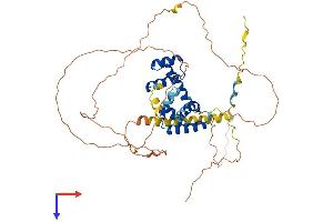 POU3F1 Protein (AA 1-449) (His tag)