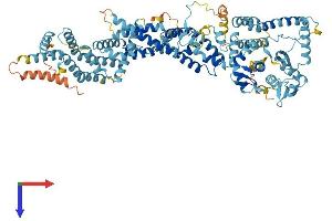 ANAPC2 Protein (AA 1-837) (His tag)