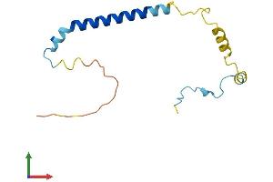 AlphaFold protein structure predicition of Human Recombinant PAIP2 Protein, UniprotID Q9BPZ3