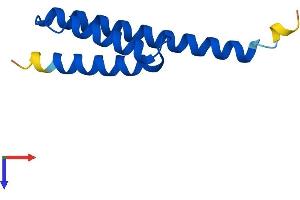 LYRM5 Protein (AA 1-90) (His tag)