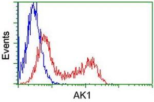 Flow Cytometry (FACS) image for anti-Adenylate Kinase 1 (AK1) antibody (ABIN1496515)