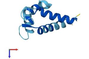S100A6 Protein (AA 1-89) (His tag)
