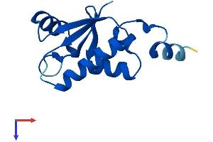 SH3BGRL Protein (AA 1-114) (His tag)