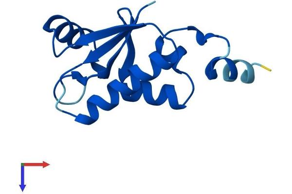 SH3BGRL Protein (AA 1-114) (His tag)