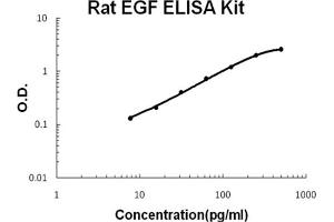 Rat EGF Accusignal ELISA Kit Rat EGF AccuSignal ELISA Kit standard curve.