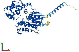 Protein Structure (PS) image for Guanine Nucleotide Binding Protein (G Protein), alpha 14 (GNa14) (AA 1-355) protein (His tag) (ABIN7563094)